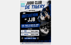 6a242892bb471_8IMPASSEDELAHALLE91250TIGERY.png